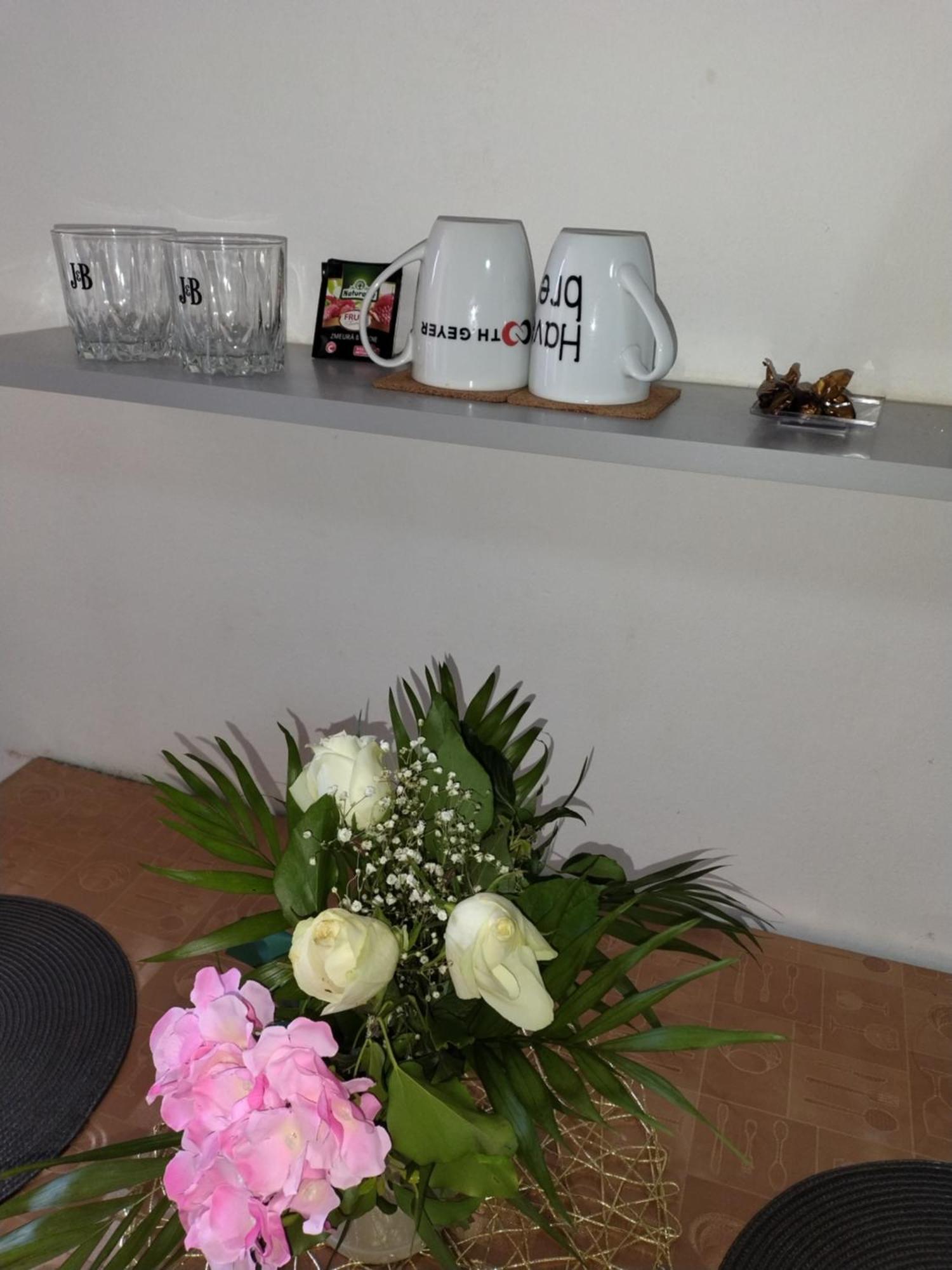 Regy Apartment Oradea Luaran gambar